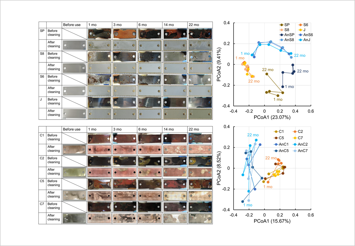 2025_Microbial-Community-Dynamics-during-Metal-Corrosion